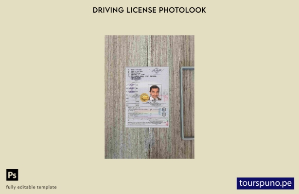Plantilla de aspecto fotográfico del permiso de conducir internacional de Filipi